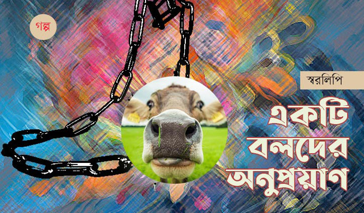 একটি বলদের অনুপ্রয়াণ একটি বলদের অনুপ্রয়াণ