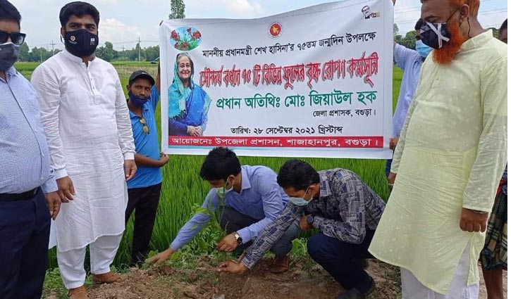 প্রধানমন্ত্রীর জন্মদিনে ৭৫টি ফুলের গাছ রোপণ প্রধানমন্ত্রীর জন্মদিনে ৭৫টি ফুলের গাছ রোপণ