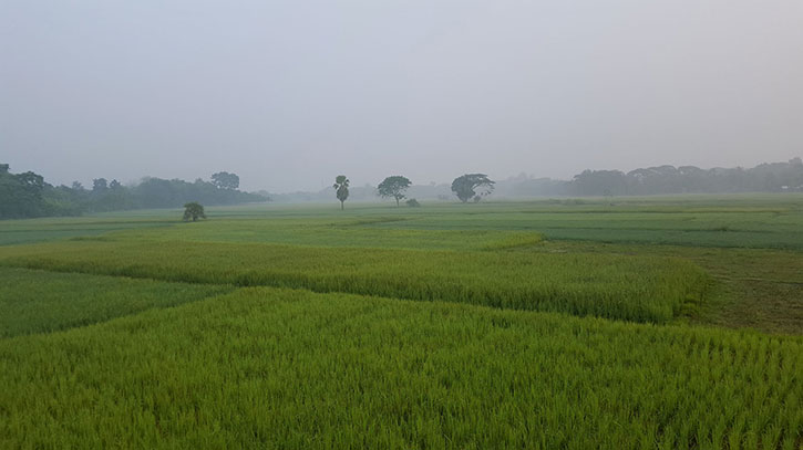 এলো হেমন্ত 