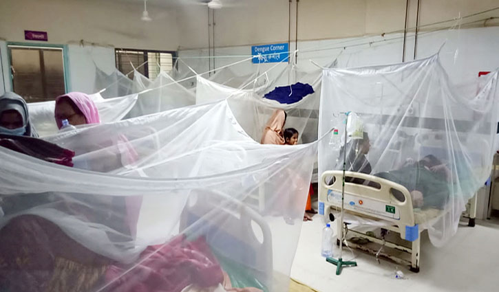 রোহিঙ্গা ক্যাম্পে ডেঙ্গুর প্রকোপ, ২২ জনের মৃত্যু