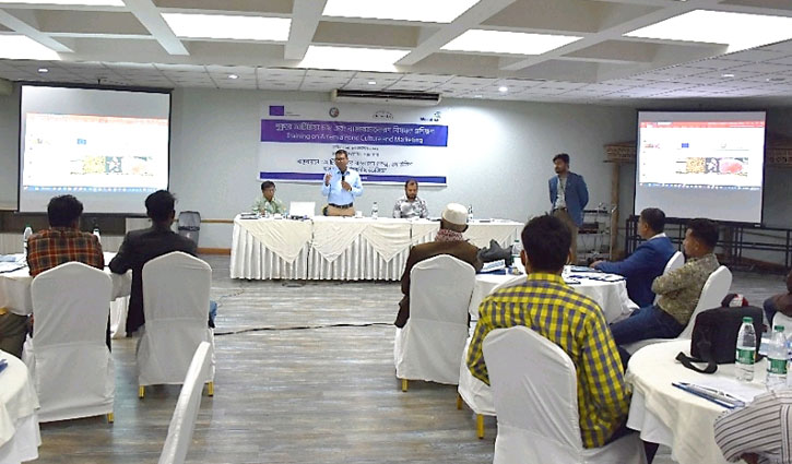 কক্সবাজারে আর্টেমিয়া চাষে আগ্রহ বাড়ছে