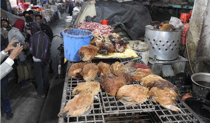 মাগুরায় ৫০০ মৃত মুরগি বিক্রির সময় আটক