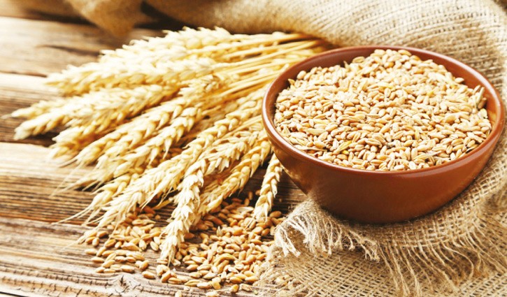 রাশিয়া থেকে ৫ লাখ টন গম আমদানি করবে বাংলাদেশ