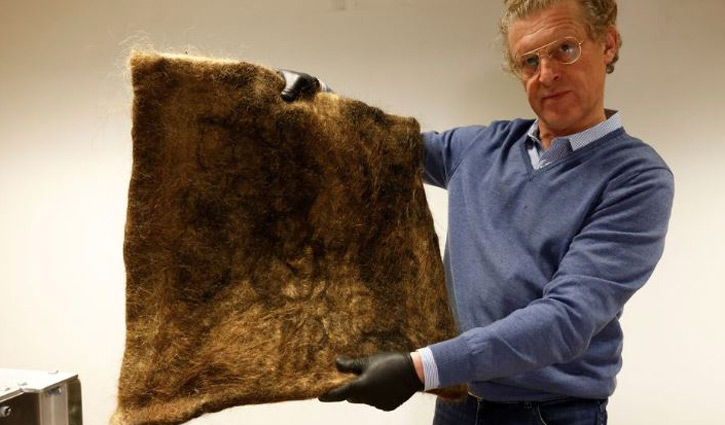 চুল দিয়ে পরিবেশ রক্ষার কাজ চলছে বেলজিয়ামে