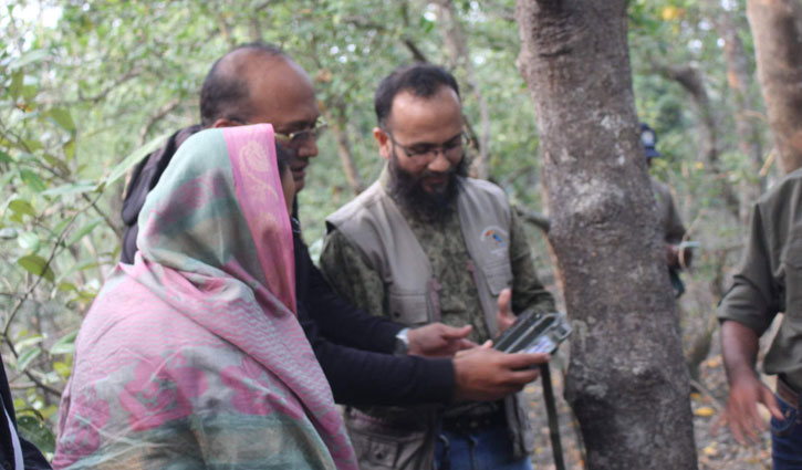 সুন্দরবনে বাঘ গণনায় ক্যামেরা ট্র্যাপিং