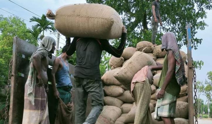 চাঁপাইনবাবগঞ্জে সাড়ে ৩৩ হাজার মেট্রিক টন ধান-চাল সংগ্রহ