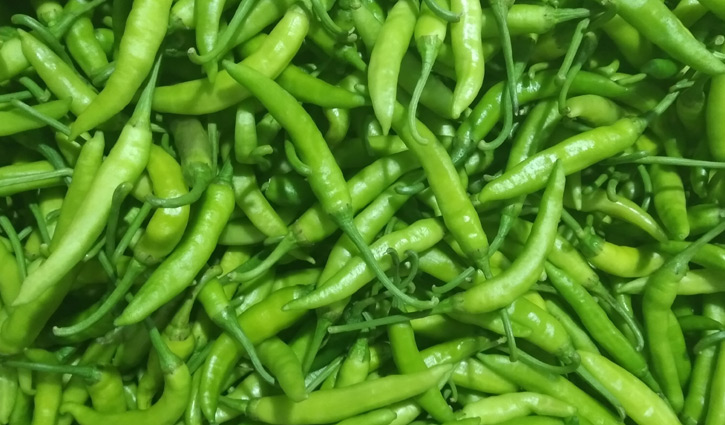 কাঁচা মরিচের কেজি ৫০ টাকা 