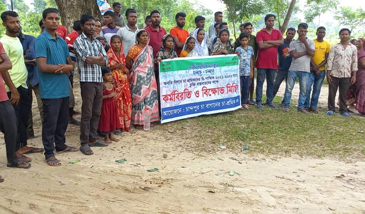 কাজে ফেরার অপেক্ষায় চা শ্রমিকরা