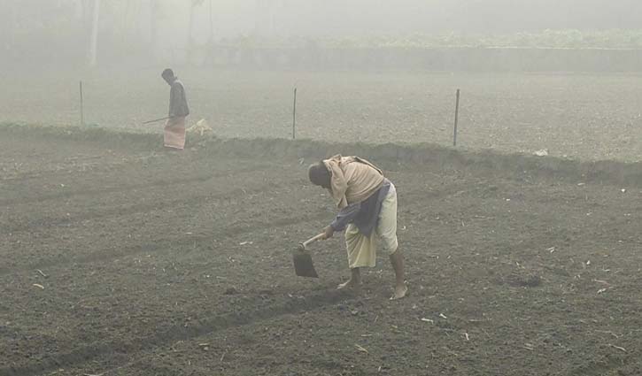 দেশের সর্বনিম্ন তাপমাত্রা ৮.৭ ডিগ্রি সেলসিয়াস