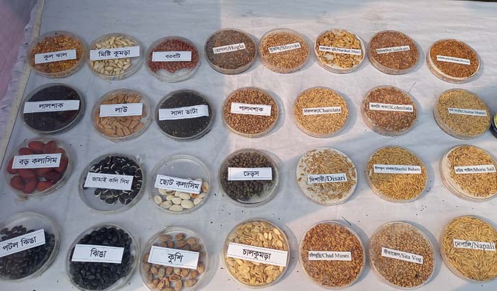 এক প্রদর্শনীতে সব এলাকার ধান শাক-সবজি 