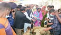 রাজশাহীতে বিতরণ করা ৭০ ভেড়ার মৃত্যু