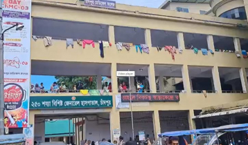 চাঁদপুরে ডেঙ্গুর প্রকোপ