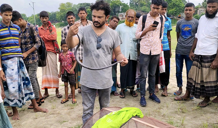 ২১ হাজারের বেশি সাপের প্রাণ বাঁচিয়েছেন বোরহান