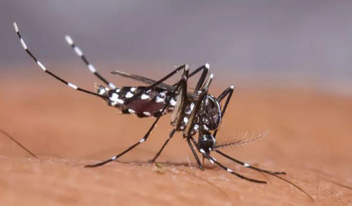 মশা থেকে বাঁচতে সচেতনতা জরুরি