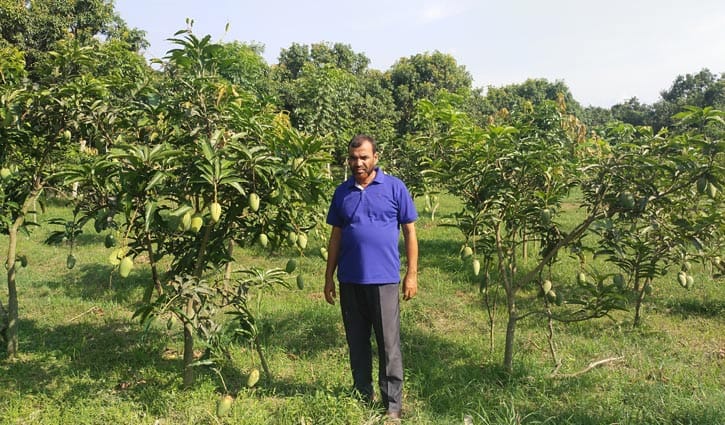 বারোমাসি আমের নাম কাঠিমন