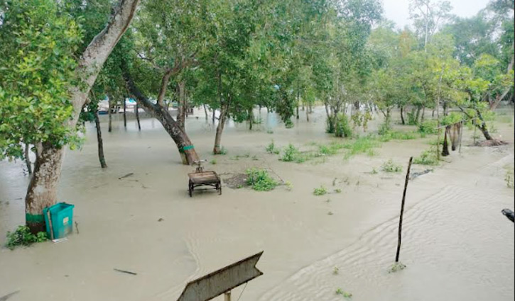 উপকূলে বৃষ্টিপাত ও ঝড়ো হাওয়া, সুন্দরবনে ৩ ফুট পানি