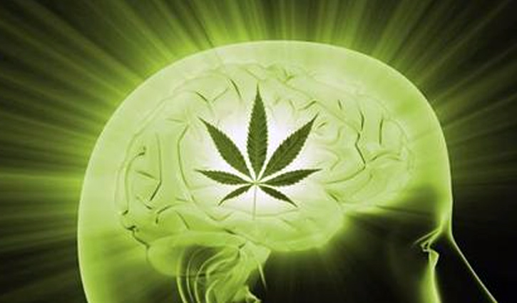 গাঁজা কি আসলেই মানুষের সৃজনশীলতা বাড়ায়?