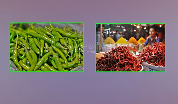 Price of green chili skyrockets to Tk 280 a kg