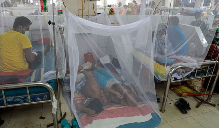 Dengue claims 3 more lives; Death toll now 247