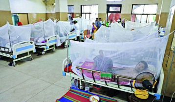 Dengue claims three more lives