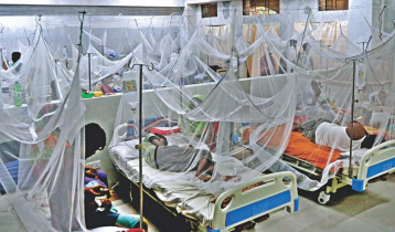 3 more die of dengue, 410 hospitalised in 24hrs