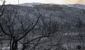 26 dead in Algeria forest fires