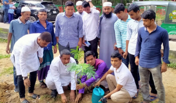Tree plantation programme inaugurated