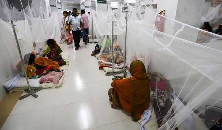 92 dengue patients hospitalized in 24 hours 92 dengue patients hospitalized in 24 hours