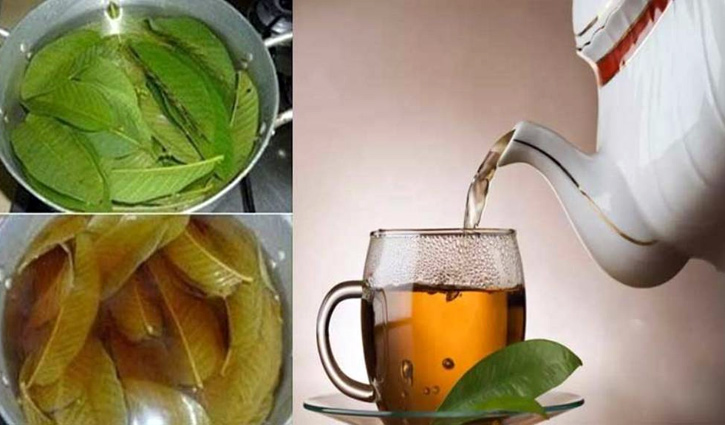 পেয়ারা পাতার চায়ে যত উপকার পেয়ারা পাতার চায়ে যত উপকার