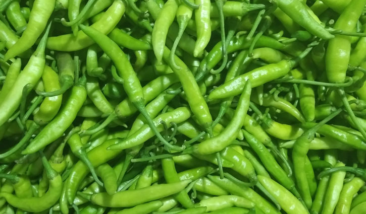 কাঁচা মরিচের কেজি ২৫ টাকা