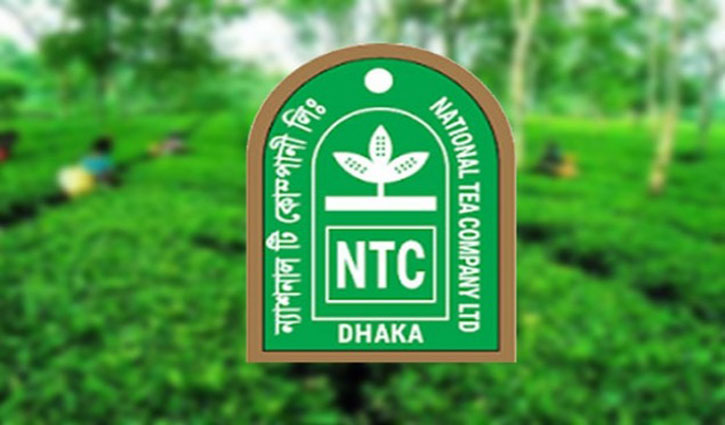 ‘বি’ ক্যাটাগরিতে ন্যাশনাল টি