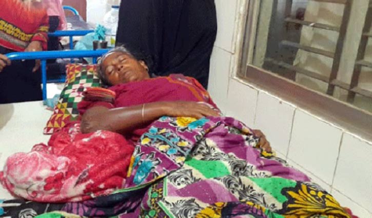 ফরিদপুরে কুমিরের কামড়ে বৃদ্ধা আহত