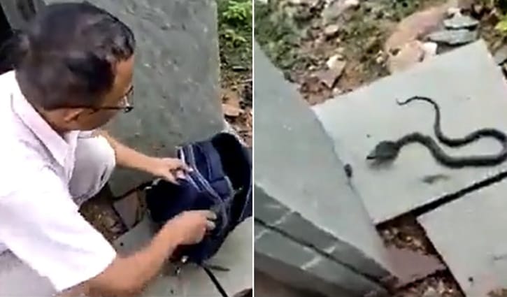 স্কুল ছাত্রীর ব্যাগে বিষধর সাপ স্কুল ছাত্রীর ব্যাগে বিষধর সাপ