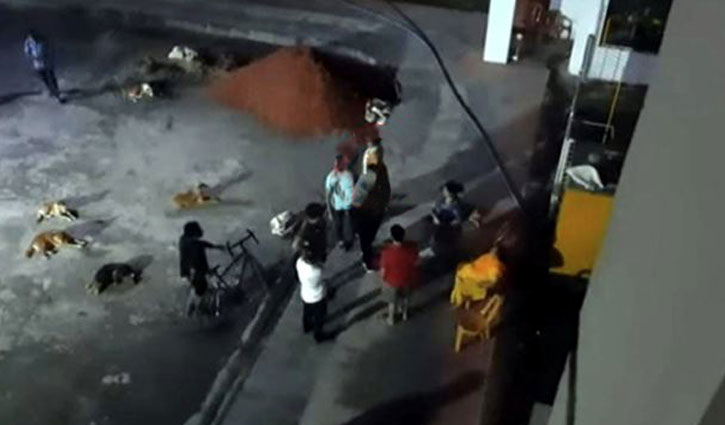 মিরপুরে কুকুর নিধন, প্রাণীপ্রেমীদের হত্যার হুমকি