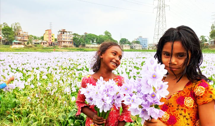 সবুজ গালিচায় সাদা রঙের আলপনা 