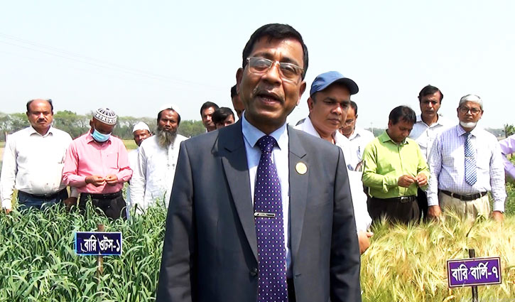 চরাঞ্চলে ‘ওটস’ চাষে সম্ভাবনা দেখছেন গবেষকরা 