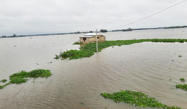 বন্যায় লাখাইয়ে ভেসে গেছে ৪ শতাধিক পুকুর