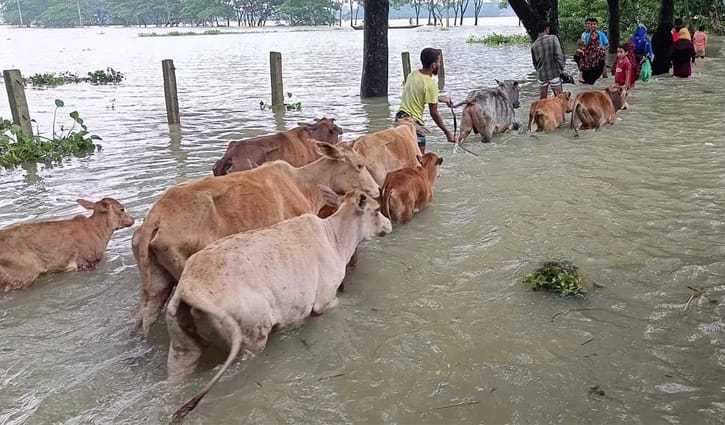 বন্যায় মৃতের সংখ্যা ৪২: স্বাস্থ্য অধিদপ্তর
