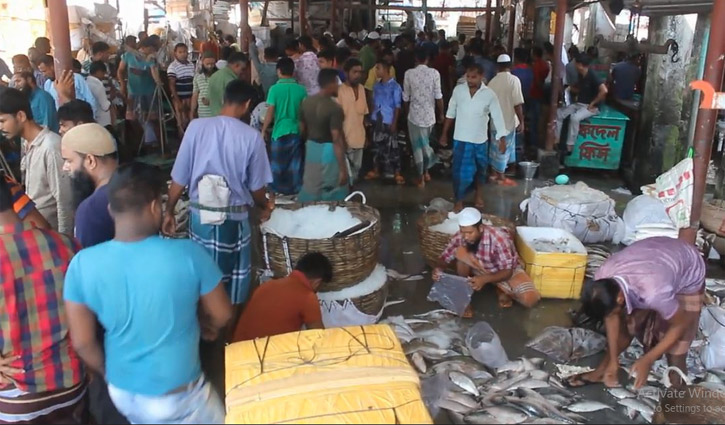 পদ্মা সেতু চালু হলে খুলে যাবে দক্ষিণের মৎস্যজীবীদের ভাগ্যের চাকা