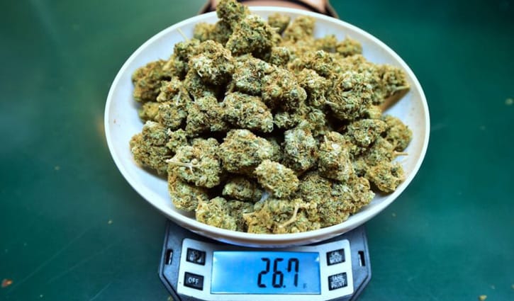 গাঁজা সেবন করা যাবে, তবে দুর্গন্ধ ছড়ানো যাবে না