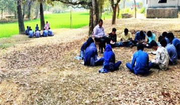 Students doing classes under trees due to classroom crisis