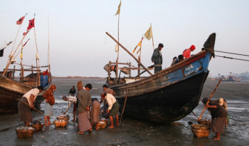 14 bodies of Rohingyas found washed up on Myanmar beach
