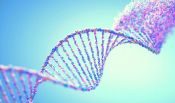 Scientists have finally mapped the whole human genome