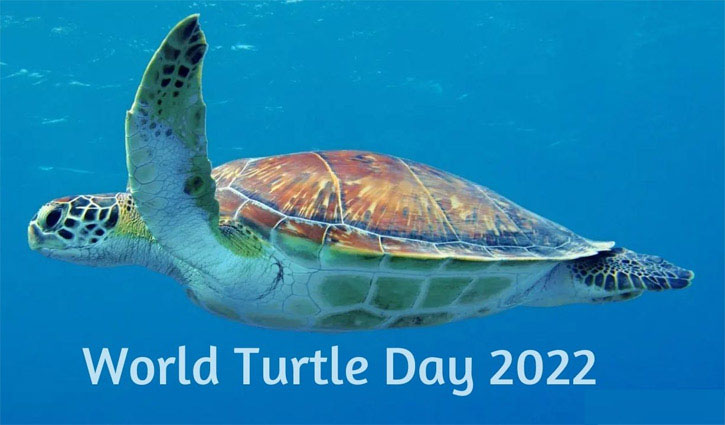 World Turtle Day-2022 today