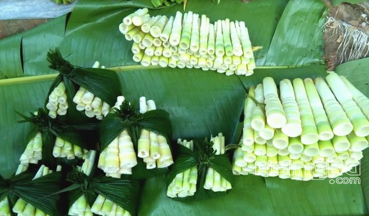 মহ্ই-মেওয়া-বাচ্ছুরি, মূলত এটা ‘বাঁশ কোড়ল’