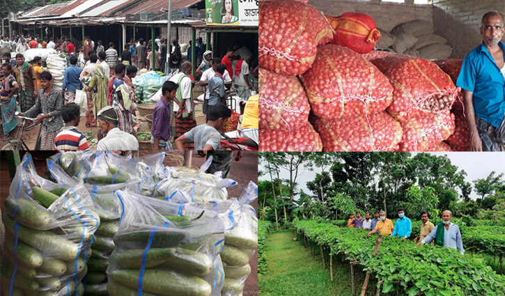 পদ্মা সেতু পাল্টে দেবে কুষ্টিয়ার চাষিদের ভাগ্য