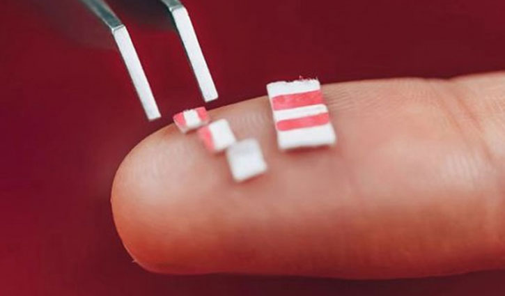 বিপুল পরিমাণ এলএসডি জব্দ 