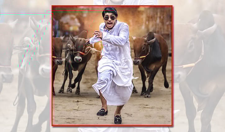 কোরবানির গরু নিয়ে বিপাকে তৌসিফ! কোরবানির গরু নিয়ে বিপাকে তৌসিফ!