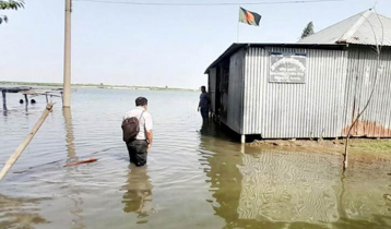 বিপৎসীমার ওপরে যমুনার পানি, তলিয়ে যাচ্ছে ফসল