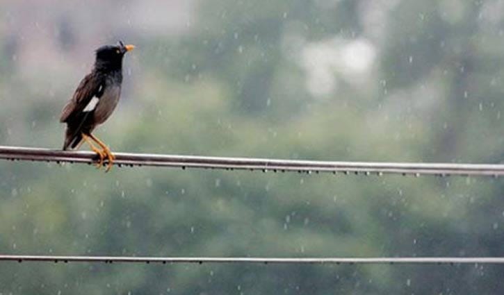রাত থেকে রাজধানীতে বৃষ্টি, থাকতে পারে আরও ৩ দিন 